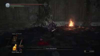 DS3 is scary sometimes...