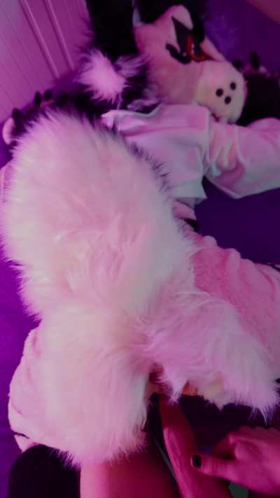 What you want to do to your favorite murrsuiter when you finally hang out with them👀