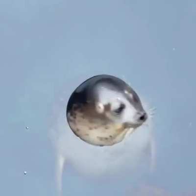 &ldquo;Watertight seal&rdquo;