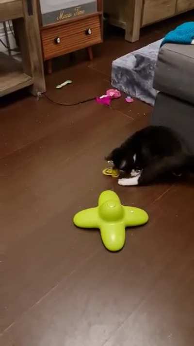 Smol Paul (CH) vs the INFERNAL BUTTERFLY