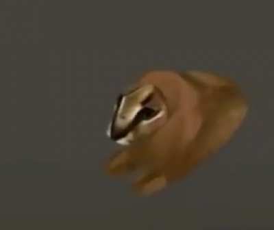 Le' floopa