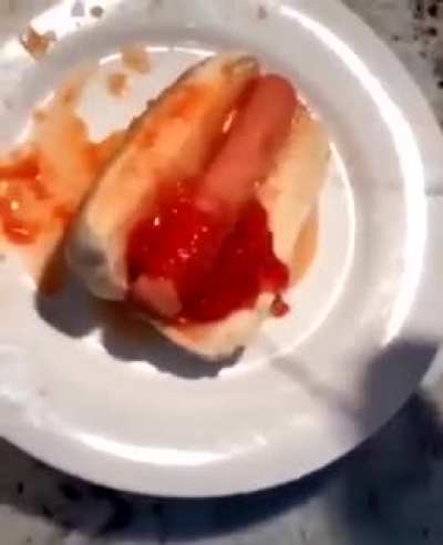 I can&rsquo;t express how much i hate this.