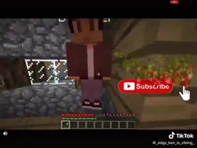 Haram spotted in mind craft???