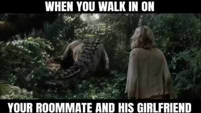 The horror