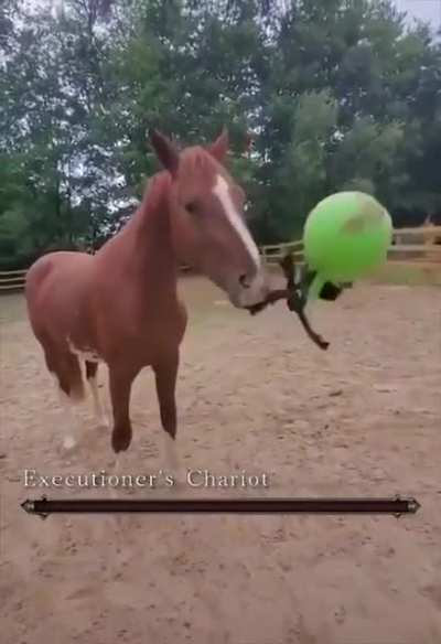 You die