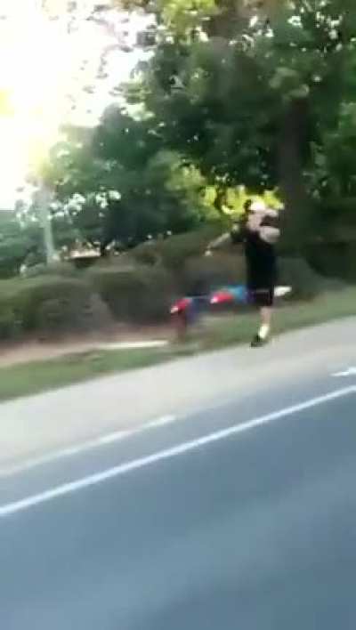 Blursed pet walking