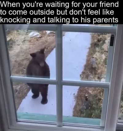 Don&rsquo;t do this to me bro