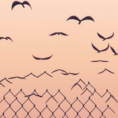 Break Free [OC][A]