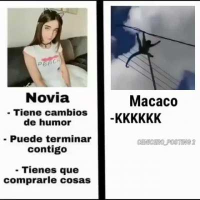 AAAAAAAAA MACACO MACAAAAAAA