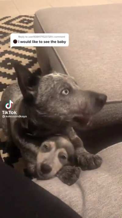 &ldquo;I would like to see the baby&rdquo;