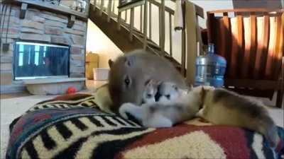 Bestest Friends