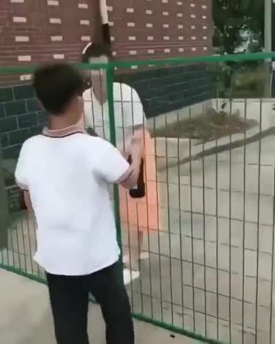 yesyesyesno