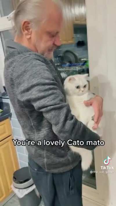 just like the meme