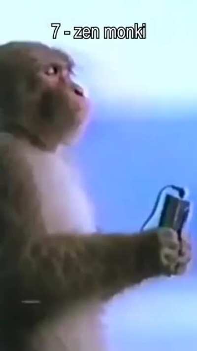 monki videos
