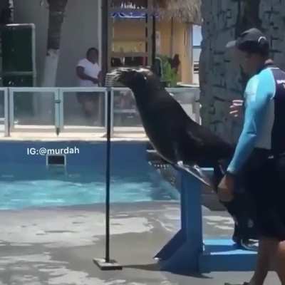 Cursed_Seal
