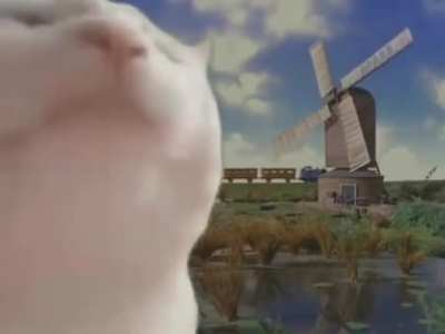 Ik🚂ihe