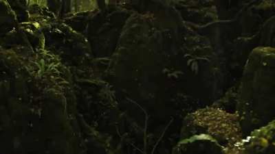 Assassin's Creed Valhalla in-game vs real life comparison