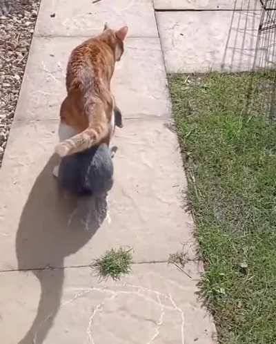 Fits this sub in the best possible way