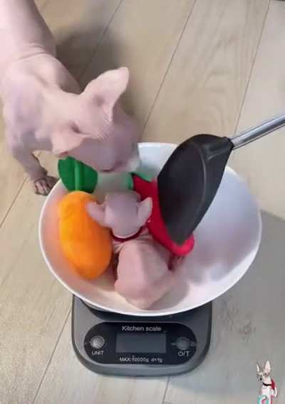 Delicious.