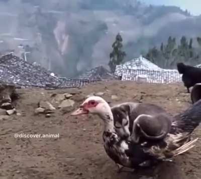 😂😂