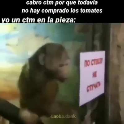 😎