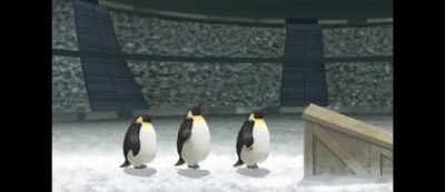 *penguin noises*