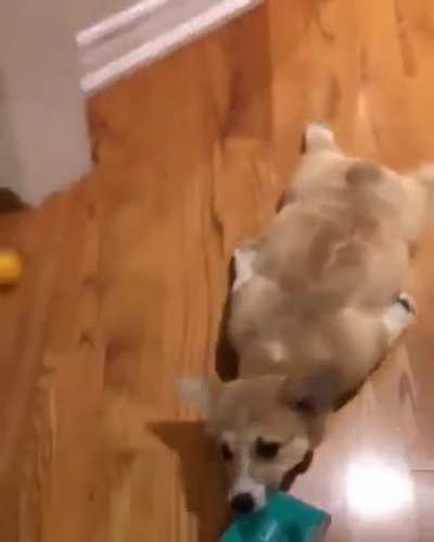 He loves it