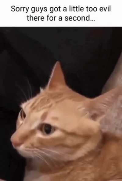 Rapscallion mode