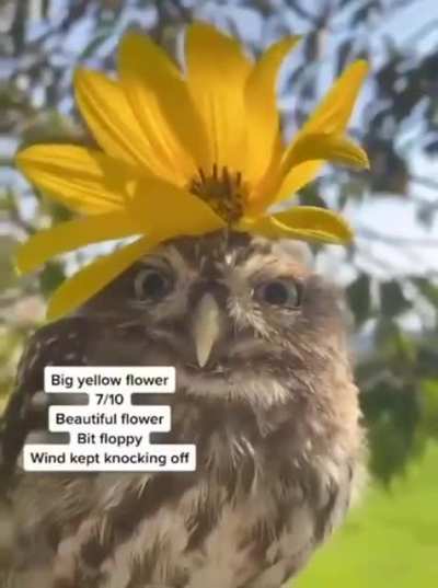 Rating flower hats