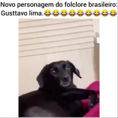 Medo😐