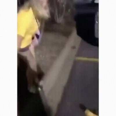 🍌🍌🍌