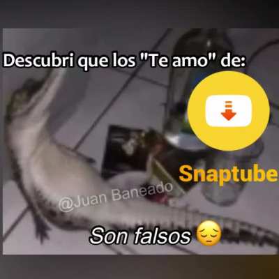Simplementepuebla :(