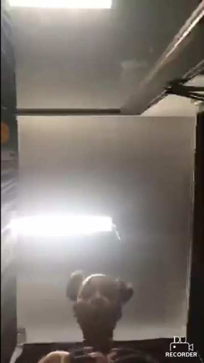 Tits out