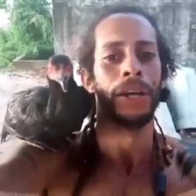 Papagaio raro