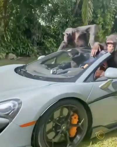 They say me rolling...