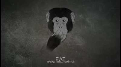 Monky