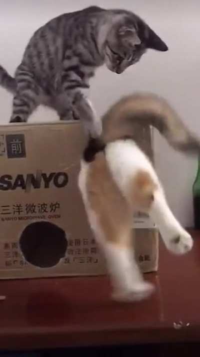 Someone is eating too much.