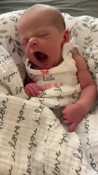 Coos, yawns, and toots&hellip; the best baby noises in one shot!