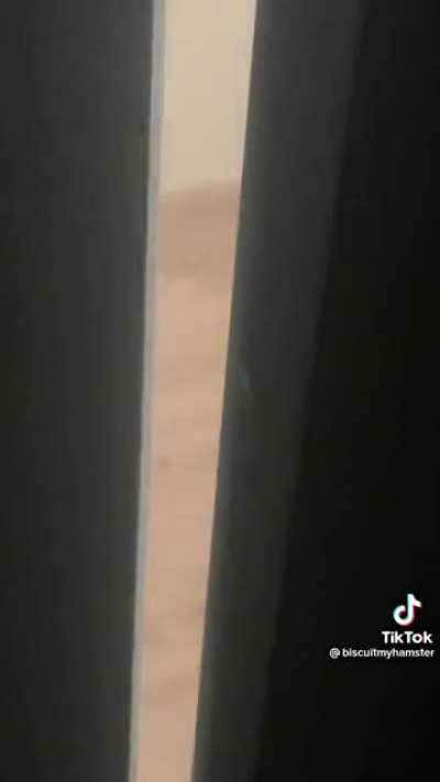 Knock Knock