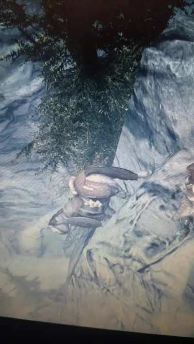 Well... there goes my horse..