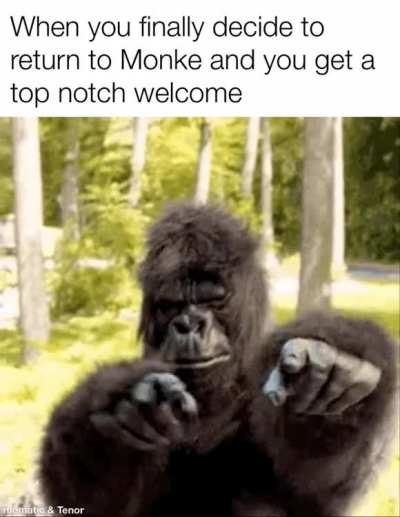 Return to Monke