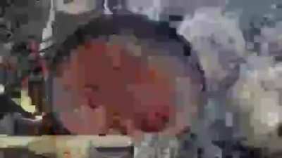 jokars kitchez