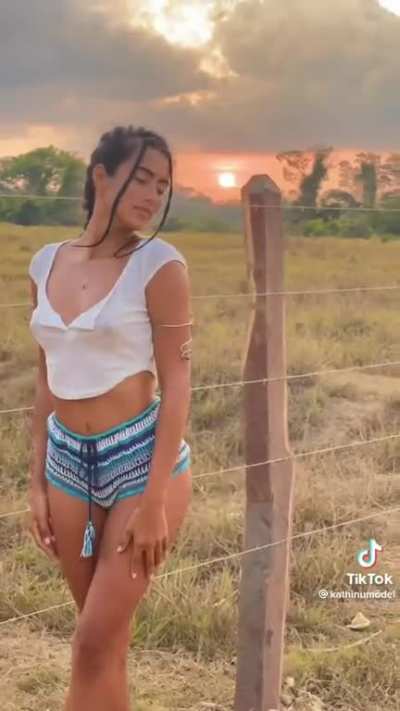beautiful sunset