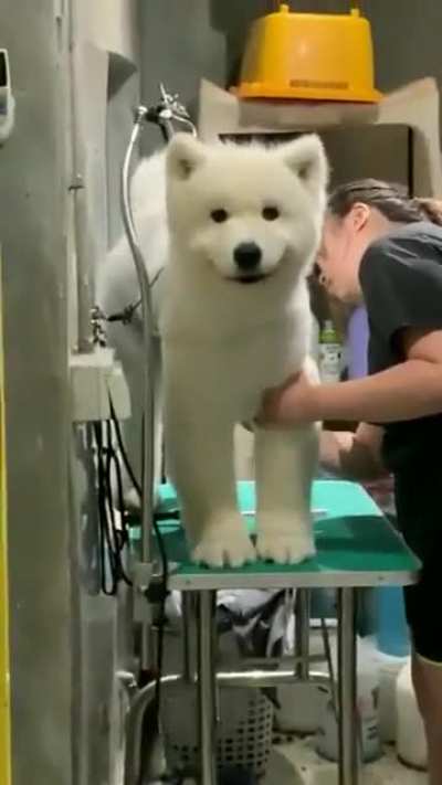 Floofy smile