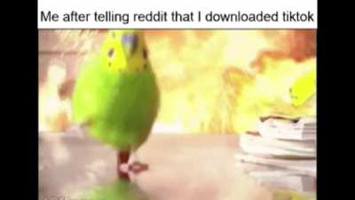 no I didn't actually download it