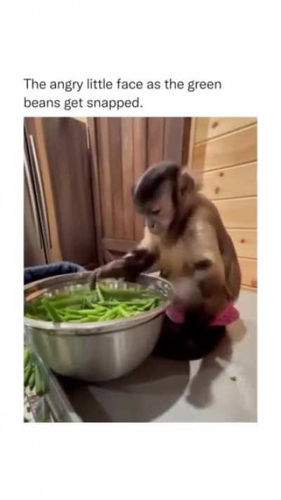 The little guy is trying his best😂