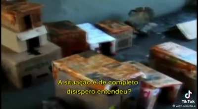 Maldade D: