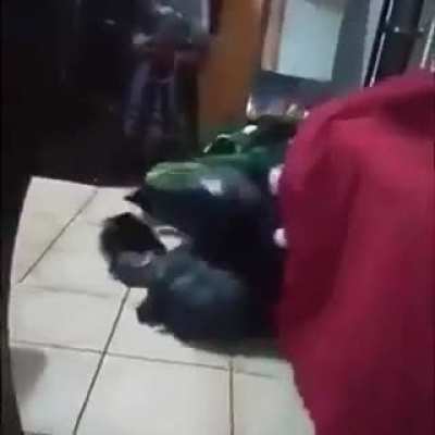 a mimir