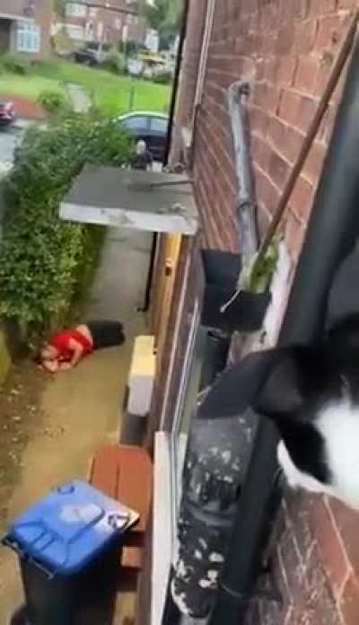 Man starts fight with Old man/Neighbour and loses. Old man helps him get up after.