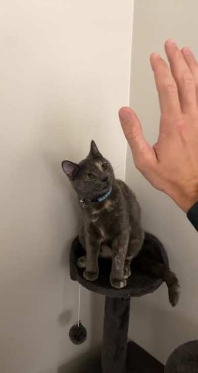 High five